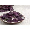 SAFLAX - Organic - Red Basil - 400 Seeds -