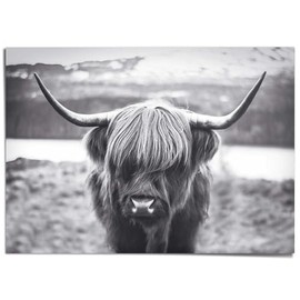 REINDERS Giant Poster XXL, Highlander Cow Strong, Living Room, Horns, Decorative Aesthetic, Pictures, Wall Decoration, Room Decor, Paper, Black/White, 140 x 100 cm