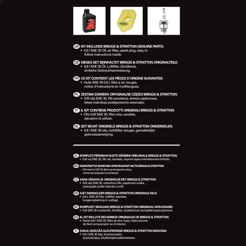 Briggs & Stratton 992230 450/550-Series Classic Sprint Engine Care Kit