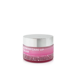 ISOIN 아이소이 블레미쉬 케어 업 크림 35ML 1개 ISOI Blemish Care Up Cream 35ML 1 unit