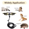 Reptile Lizard Leash ValueHall Bearded Dragon Harness and Leash 3