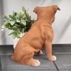 Vivid Arts - Staffordshire Terrier Brindle - XRL-STF4-D