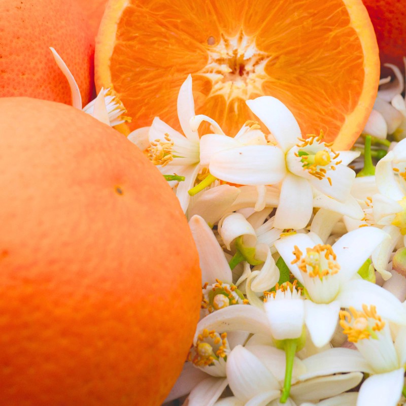 Alvarez Gomez Eau de Cologne – Orange Blossom Fragrance, 10.14