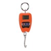 Portable Electronic Scale High Accuracy Digital Hanging Scale 200kg Weight