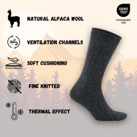 Alpaca Wool Socks for men & women, 2 pairs pack, soft breathable comfortable, light cushioned, thermal wool socks (UK, Numeric, 3, 5, Regular, Regular, Beige-Grey)