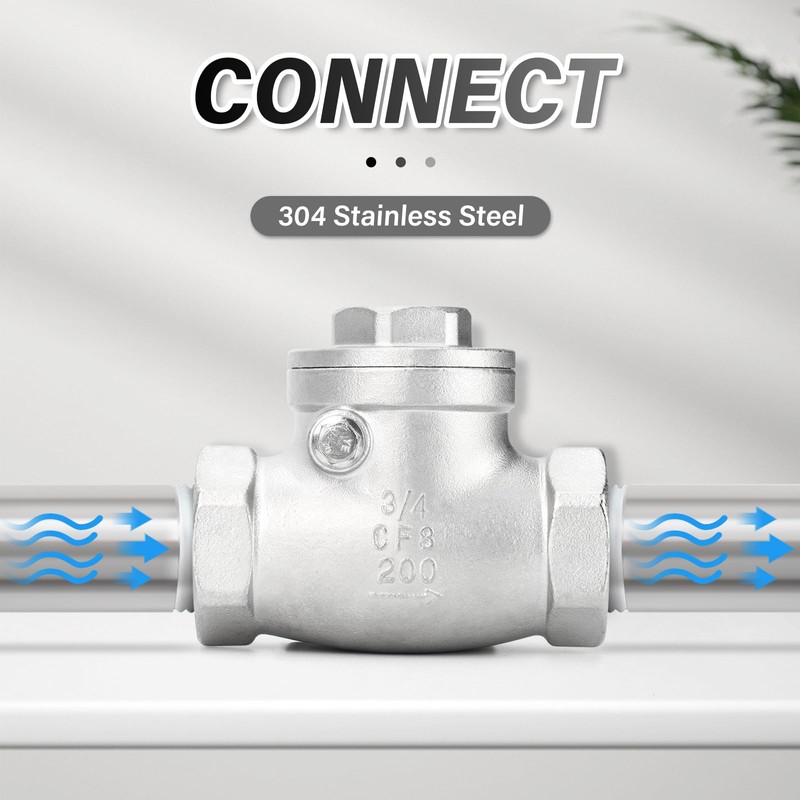 ERGAOBOY Swing Check Valve, 3/4" BSP Female SUS 304 Check