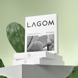 LAGOM Aqua Cactus Mask Pack - Hydrating Calming Gentle Bamboo Sheet (5 Sheets)