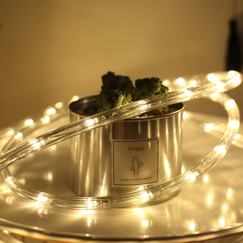 HuiZhen Indoor Outdoor Rope Lights,110v 100ft Connectable led Rope Lights