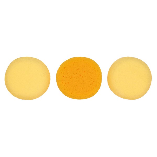 Painting Sponge Set of 3