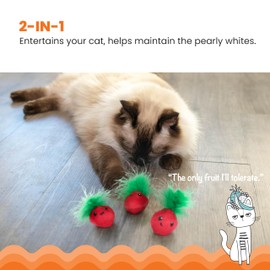 Catstages Strawbabies 3-Pack Catnip Cat Toys for Dental Health, Feather & Crinkle Teething Toys for Kittens and Indoor Cats, Interactive Play, Pink