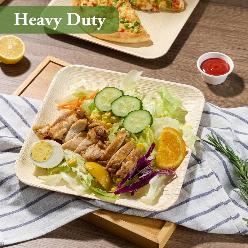 ECOLipak 10 Inch Compostable Palm Leaf Plate Like Bamboo Plate,