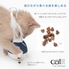 Catit Pixi Spinner Blue with Night Light Rotating Cat Treat