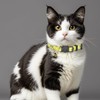Giecooh Cotton Cat Collar, 2 Pack Breakaway Cats Collars with