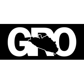 X Graphics GRO letters Decal Car Window Laptop Map Vinyl Sticker Guerrero Mexico - White, 3.8" x 9"