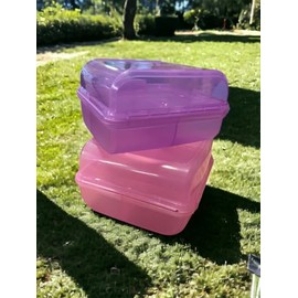 Plasvic. Juego de 2 contenedores para almacenar alimentos. Box lunch. Lonchera de plástico, con compartimentos para separar los alimentos. Incluye 2 piezas: rosa y morado.