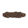 Josh's Frogs False Bottom - LECA Expanded Clay Pebbles (5
