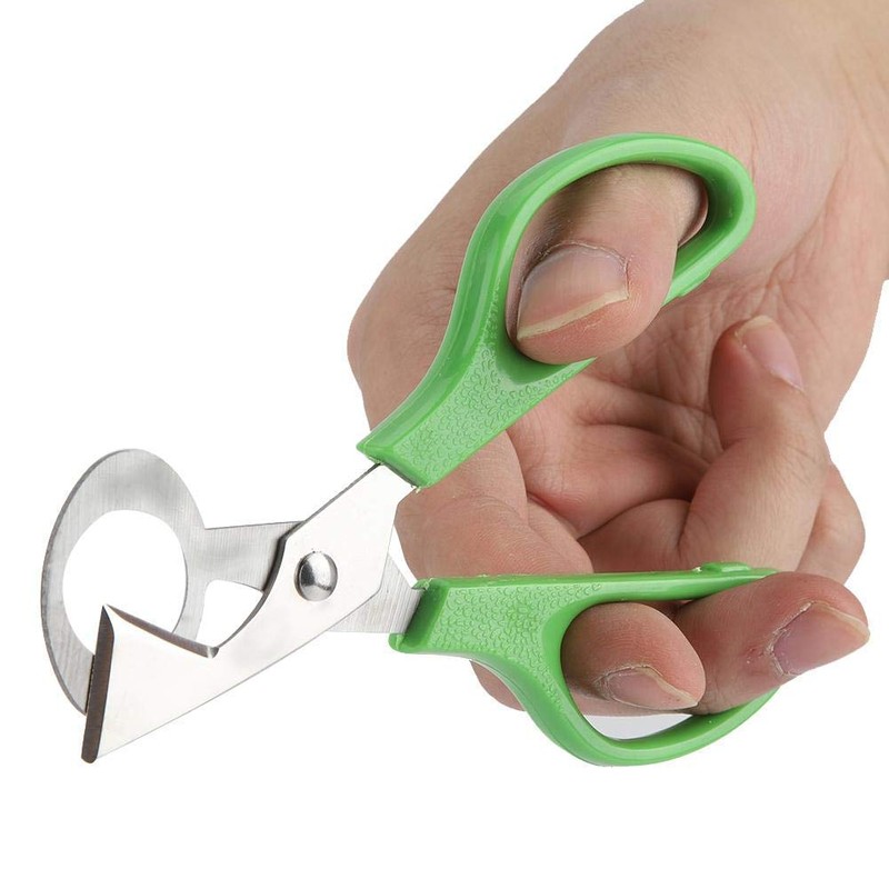 Kitchen Egg Scissors, Portable Anti-Rust Quail Egg Scissors Cutter Stainless