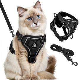 GlasFlength Cat Harness with Lead, Escape Proof, Cat Lead with Harness for Cats, Adjustable Cat Harness Set, Cat Harness, Soft Harness for Cats with Reflective Stripes (Black-S)