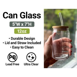 Turks and Caicos Islands Design D Souvenir 12 oz Beer Can Glass Single