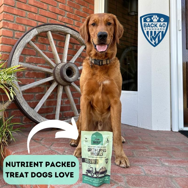 BACK 40 DOGS Freeze-Dried Green Lipped Mussels - Size: 2oz,