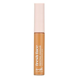 Fresh Face Perfecting Concealer infused with Hyaluronic Acid, Shade 10