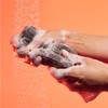 AKT The Konjac Sponge – Plant-Based Shower Sponge with Activated
