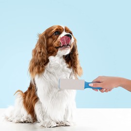 1ABOVE Lint Roller, 5 Sticky Replacement Heads with 1 Handles, Total 300 Easy Peel Sheets, Quickly Removes Animal Fur, Cat & Dog Hair, Dust & Fluff from Clothes, Furniture, Carpet…