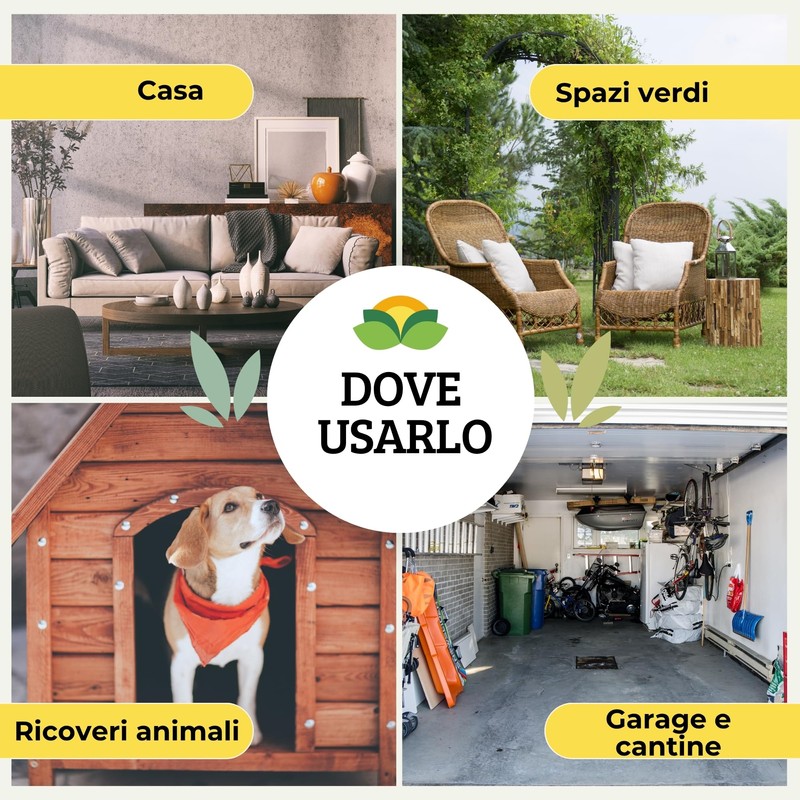 Albagarden - Trappola Adesiva MINI per Topi, Ratti, Scarafaggi, Formiche