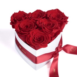 ROSEMARIE SCHULZ Heidelberg Infinity Heart Shaped Rose Box Preserved Roses Gift for Women (I Love You, Red)