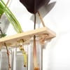 3 Tiered Wall Hanging Plant Terrarium with 12 Test Tubes