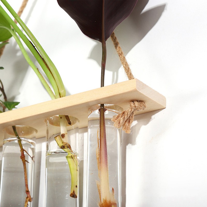 3 Tiered Wall Hanging Plant Terrarium with 12 Test Tubes