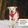 Escape Proof Dog Harness Medium Sized Six Point Adjustable, Soft