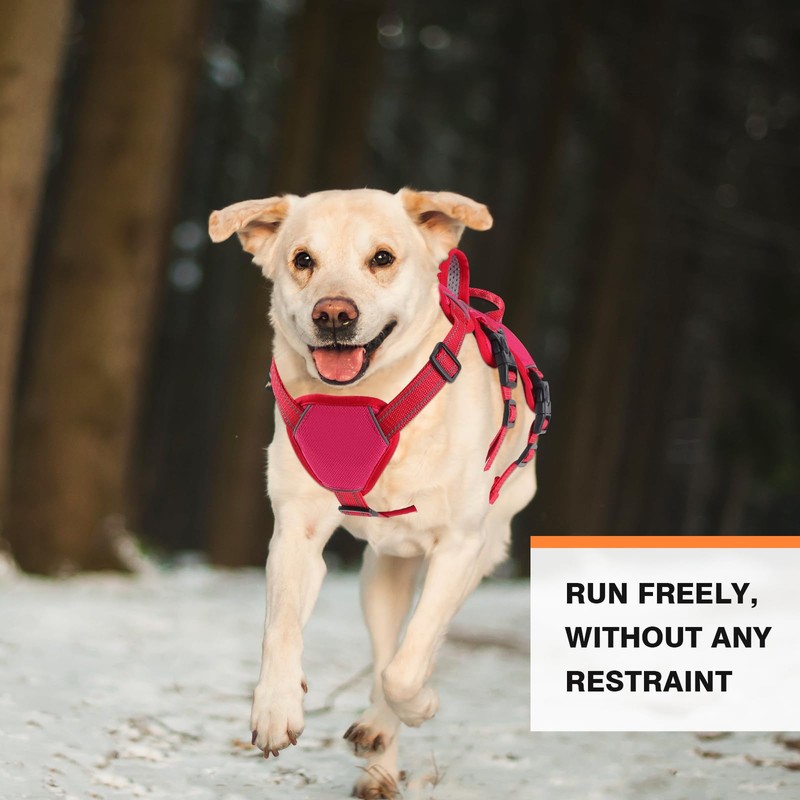 Escape Proof Dog Harness Medium Sized Six Point Adjustable, Soft