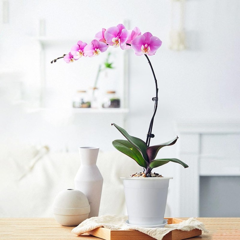 Meshpot 4 Inches Clear Plastic Orchid Pots with Holes Succulent