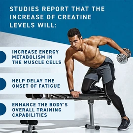 Applied Nutrition Creatine Monohydrate