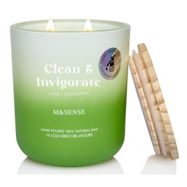 M&SENSE Sage Eucalyptus Aromatherapy Candle for Cleansing & Invigorating, 14.1oz 80-Hour Long-Lasting Natural Soy Wax Summer Scented Candle Fragrance, Spiritual Healing Gift for Positive Energy