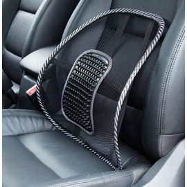 Big Ant Car Seat Cover