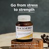 Blackmores Ashwagandha+ Stress Support Vitamin B 60 Tablets
