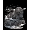 Royal & Langnickel - Scratch Picture Seal & Babies, Silver,