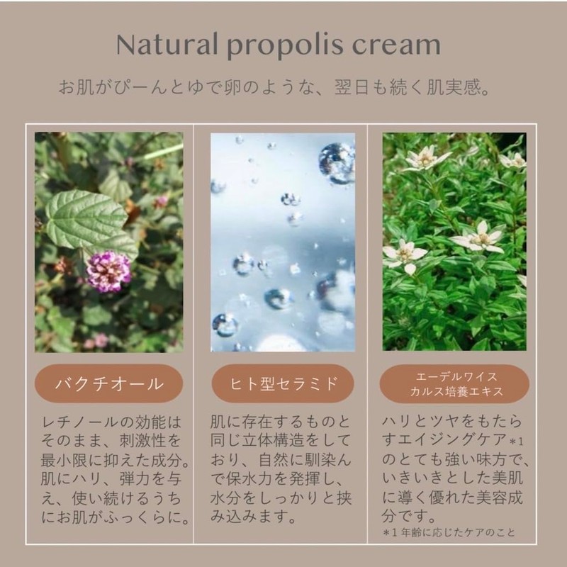 voloesse Natural Propolis Cream, 1.1 oz (30 g), Bactiol, Humanized