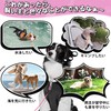 DANOFY Dog Mooring Wire Lead Cable - Mooring Cable for