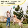 2 Piezas Juguetes para Perro con Forma de Zapato, Juguete