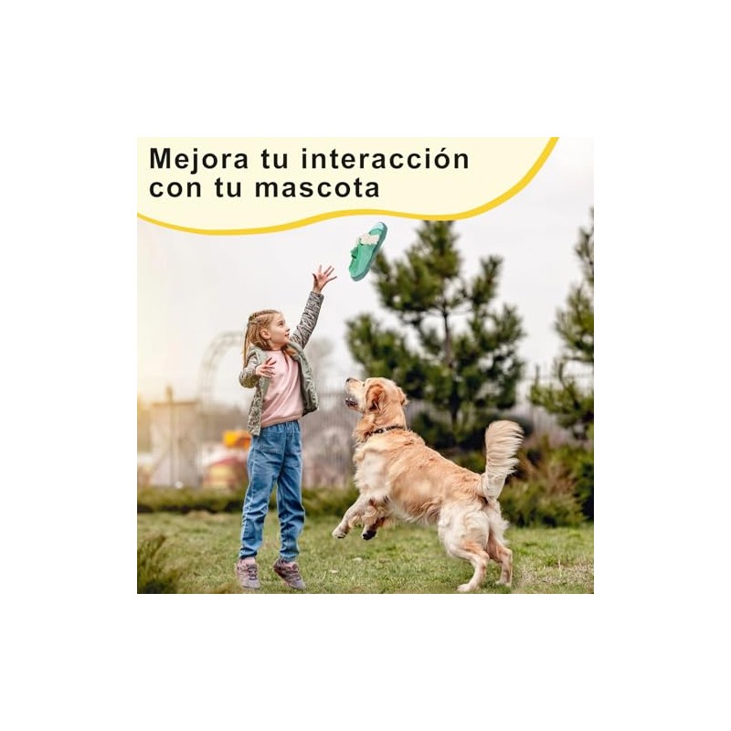 2 Piezas Juguetes para Perro con Forma de Zapato, Juguete