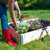 Garronda Planting Wood with Metal Tip Dibber Seedwood GD-0006 (Planting