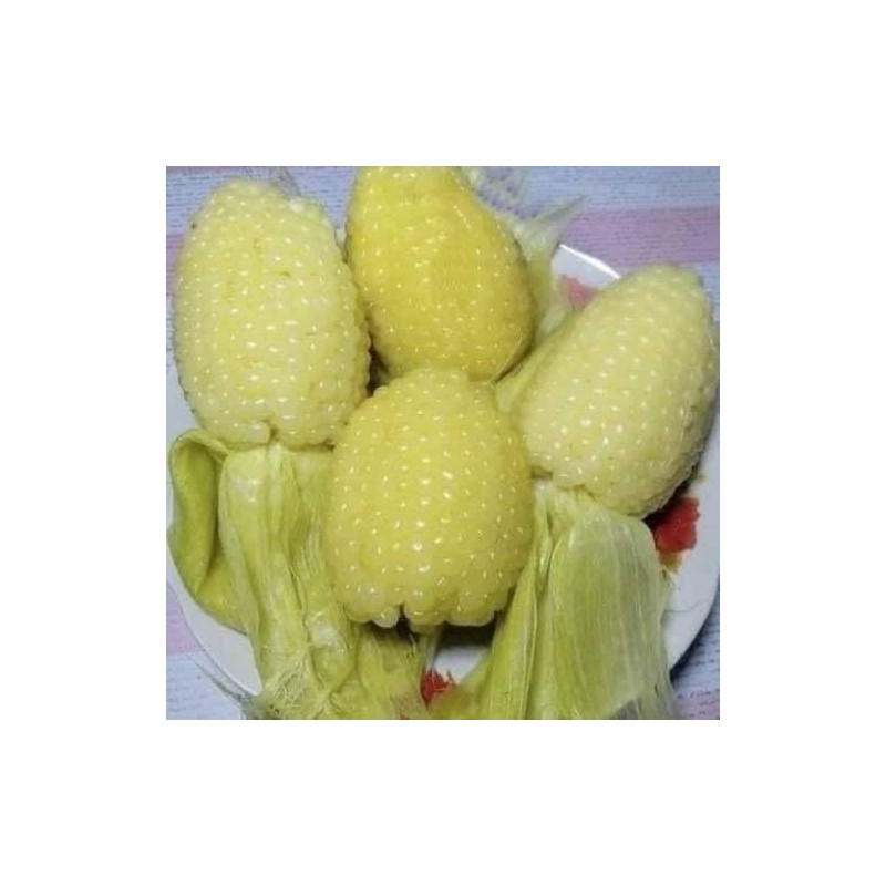 25+ Seeds Bap NEP nu SUA Seeds Rare find Asian