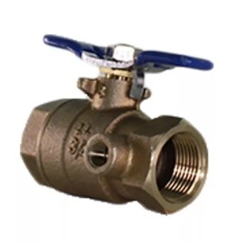 FEBCO OEM Febco 3/4" Ball Valve Tapped, Full Port - T Handle - Wilkins & More PVB Pro