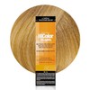 L'OREAL TECHNIQUE L'oreal Excellence Hicolor, Golden Blonde Highlights, 1.2 Ounce