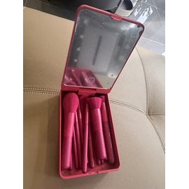 BS-MALL Makeup Brushes with Case Foundation Powder Concealers Eye Shadows Makeup Set with LED light Mirror 14 Pcs Mini Makeup Brushes (Hot Pink)
