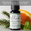 Ellia Diffuser Essential Oil | Reawaken Blend| 15ml, 100% Pure,