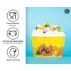 50x ice Cream Cup, Cardboard ice Cream Cup, Fruit Cup